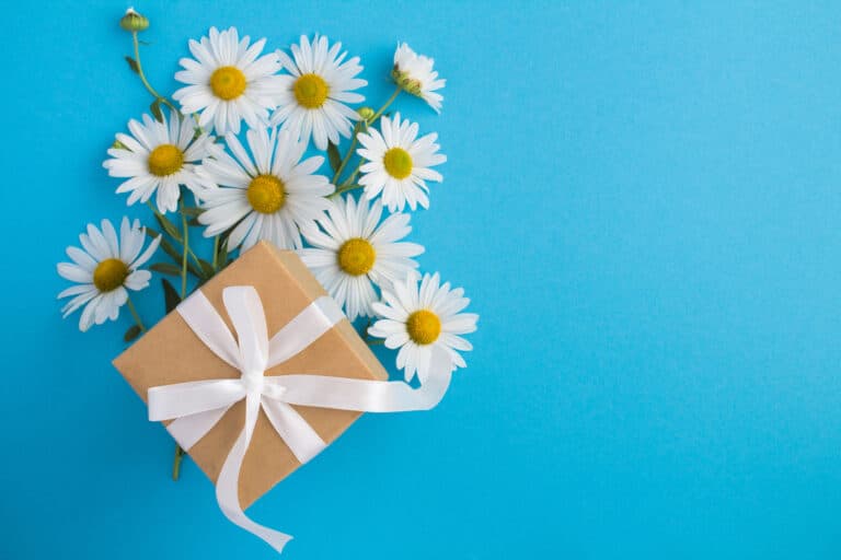 「優良WEB」に掲載されました