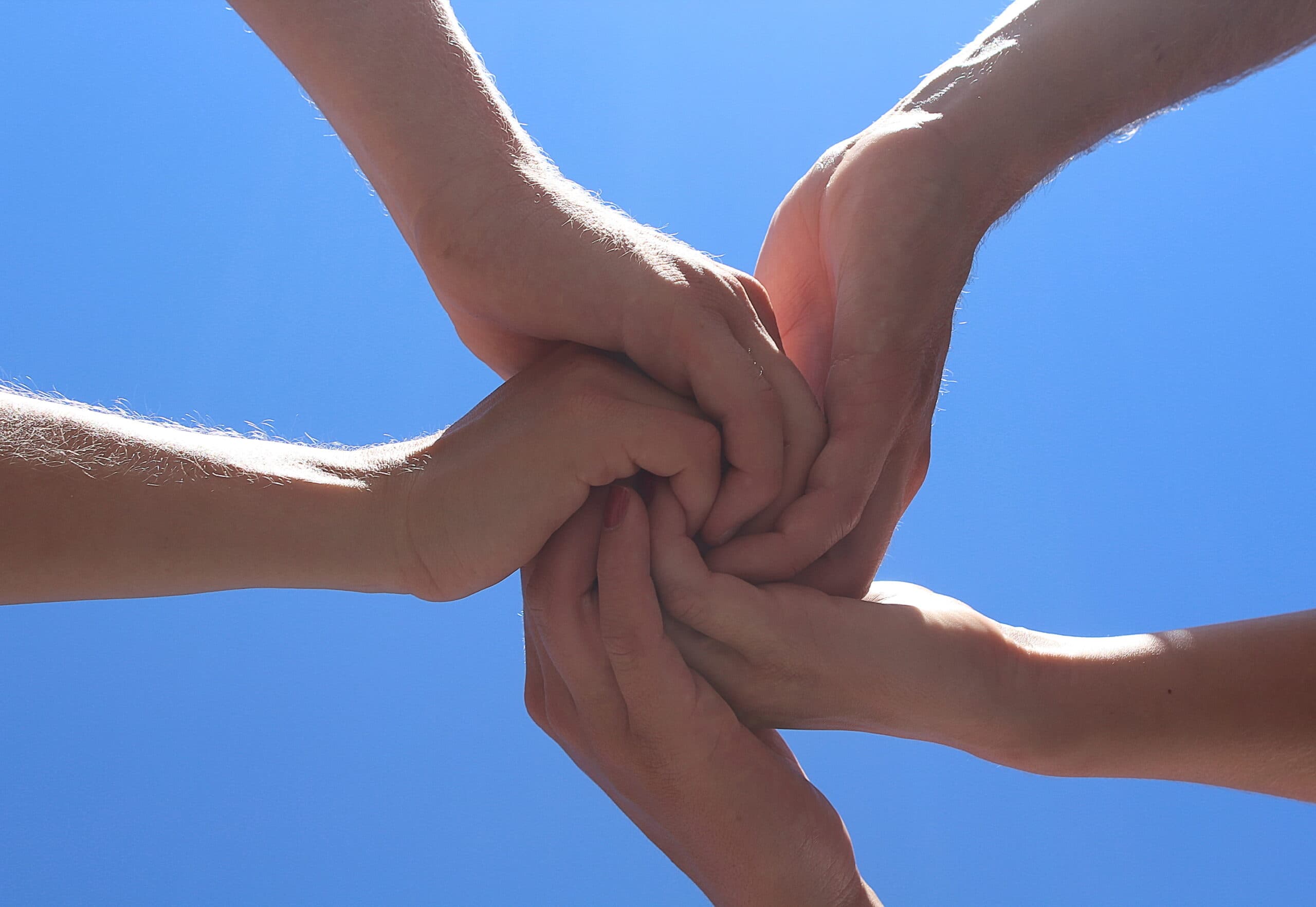 「もの補助」採択までの道のりをご紹介します